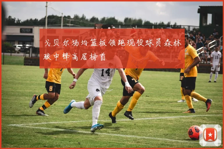 戈贝尔场均篮板领跑现役球员森林狼中锋高居榜首