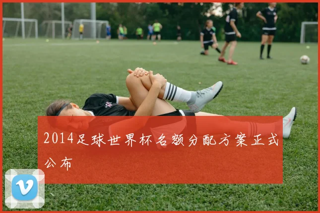 2014足球世界杯名额分配方案正式公布