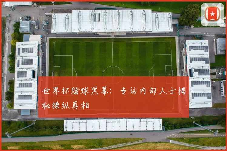 世界杯赌球黑幕:专访内部人士揭秘操纵真相