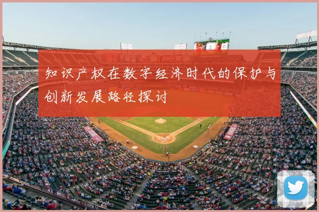 知识产权在数字经济时代的保护与创新发展路径探讨