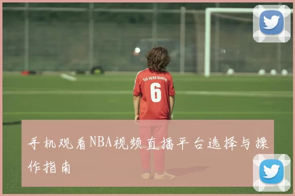 手机观看NBA视频直播平台选择与操作指南