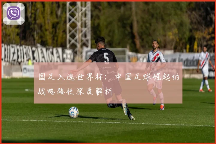 国足入选世界杯:中国足球崛起的战略路径深度解析