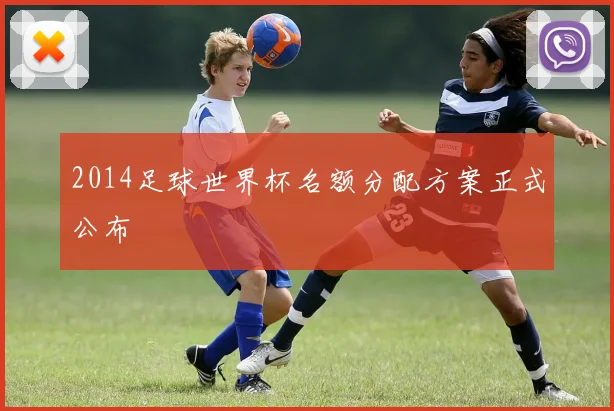 2014足球世界杯名额分配方案正式公布