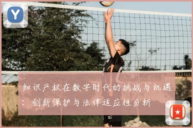 知识产权在数字时代的挑战与机遇：创新保护与法律适应性分析