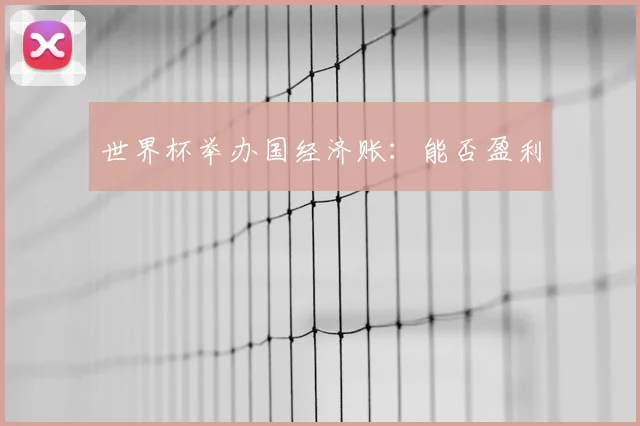 世界杯举办国经济账:能否盈利