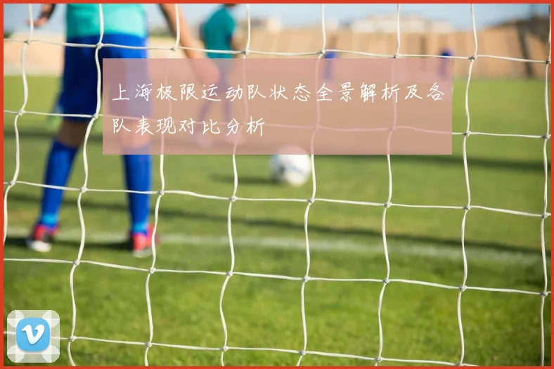 上海极限运动队状态全景解析及各队表现对比分析