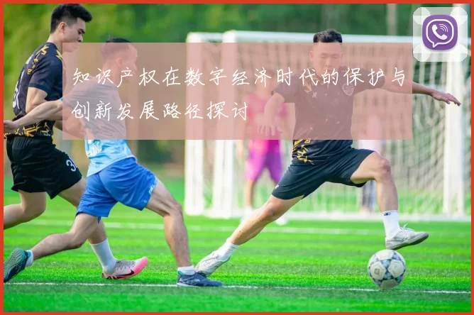 知识产权在数字经济时代的保护与创新发展路径探讨