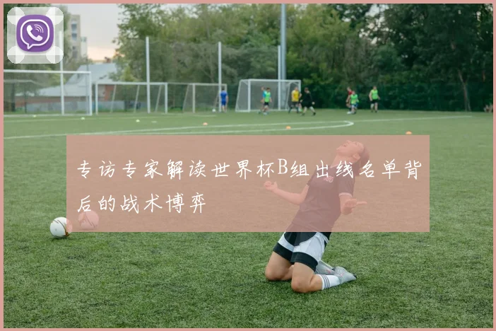 专访专家解读世界杯B组出线名单背后的战术博弈
