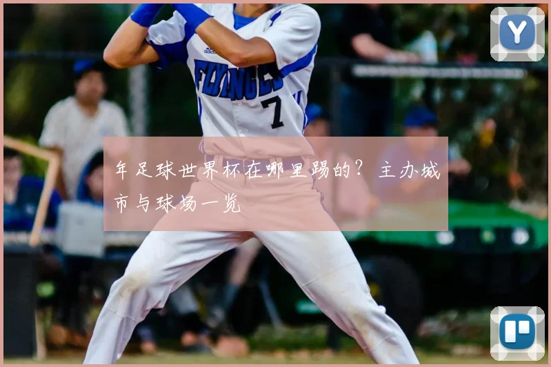 年足球世界杯在哪里踢的?主办城市与球场一览