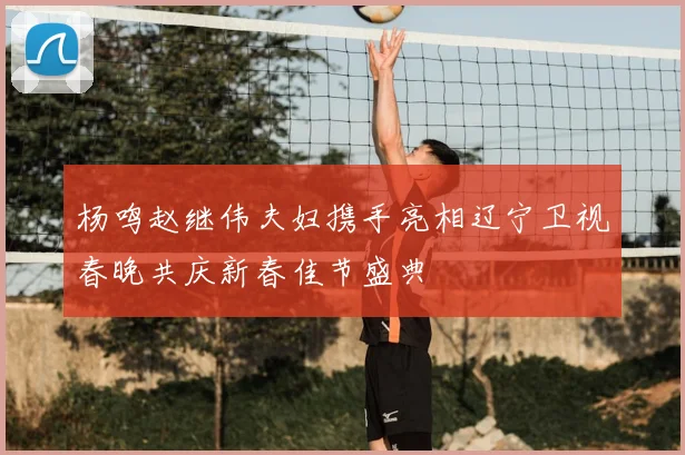 杨鸣赵继伟夫妇携手亮相辽宁卫视春晚共庆新春佳节盛典